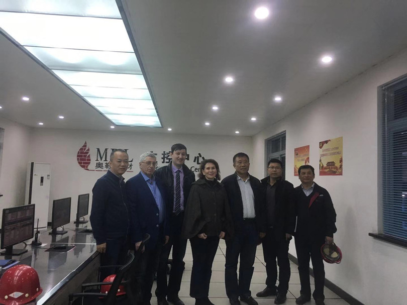 德国 VGH Viktoria Garten Hüttenindustriebedarf  AG 公司来访</a>