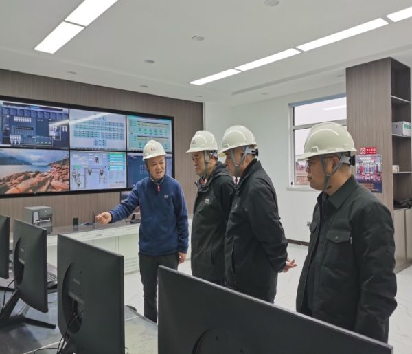 金隆铜业公司领导到我公司考察</a>